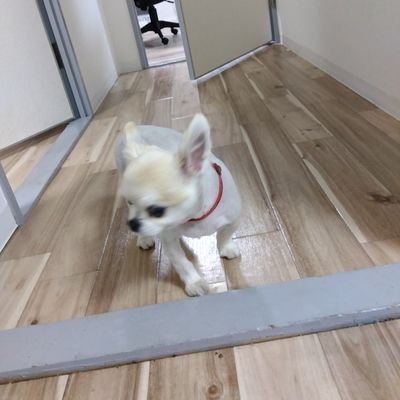 jCGqdJDPzj18544's profile picture. 