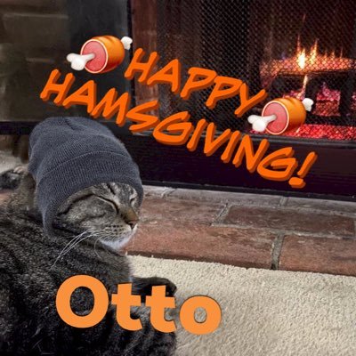 RupertWheeler2's profile picture. Born & raised Dem in a red state. Equal rights. Pro Choice. Love is Love. BLM. Cats rule! #CatsOfAnarchy #RuffRiderz #Hedgewatch #resist #rebelscum