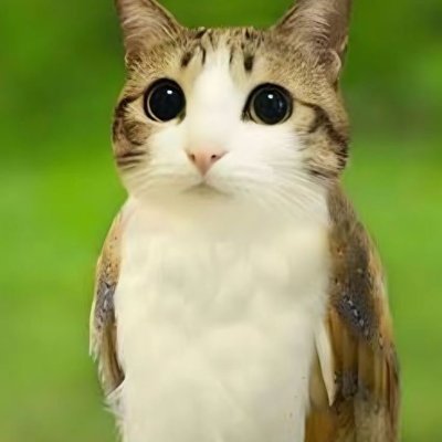 the__feeding's profile picture. - Only follow if 16+
- 🛏️Sinner No. 35
- Sinner Source: Dracula

- RP/Parody Not affiliated with Project Moon
- Muse: She/Her
- Semi Serious + Shitposting