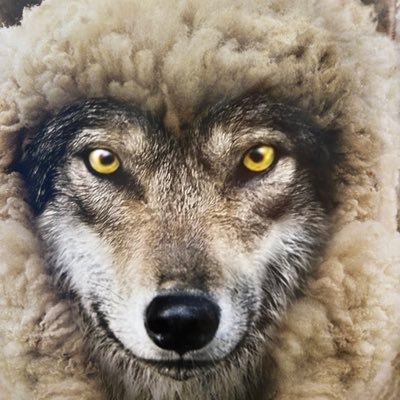 thejunedad's profile image