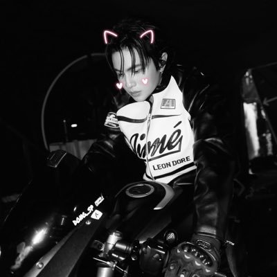 floofandfin's profile picture. Floof 🐶 + Fin 🦈 | vroom vroom bbtomato ໒꒰ྀི◜ ཅ ◝ ꒱ྀི১◞♡♥︎ | ꒰ #วิลเลี่ยมเอส ; #williamest ꒱ |