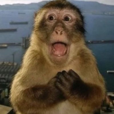 tongkatapi's profile picture. yaayayaa