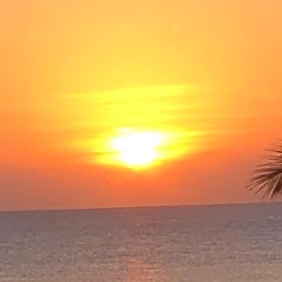 Q705Q's profile picture. 