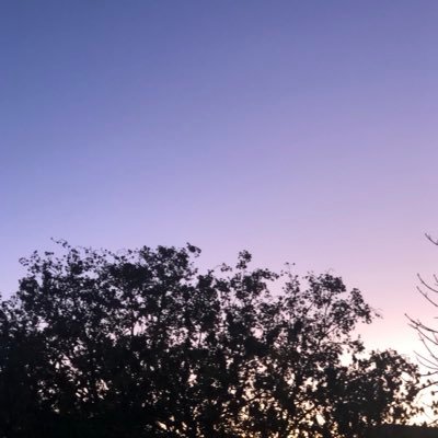 Kety92293642's profile picture. 