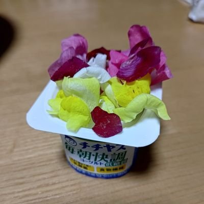 yakiimo_BIGLOVE's profile picture. れんこんのある人生