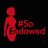 _SoEndowed's profile image