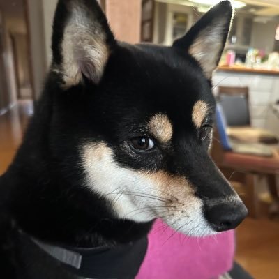 Hideiforever's profile picture. 証券マン5年、MBA経て、ファンド18年。2024.12.16から個人投資家。本業は一応大家さん。日本中、たまに世界でサウナ・ゴルフ巡り。REIT・グロース・高配当・優待株・BTCに幅広く投資。デイトレ、スイング、中長期、ガチホ、全ての時間軸でスタイル確立に向け勉強中の身🙇‍♀️