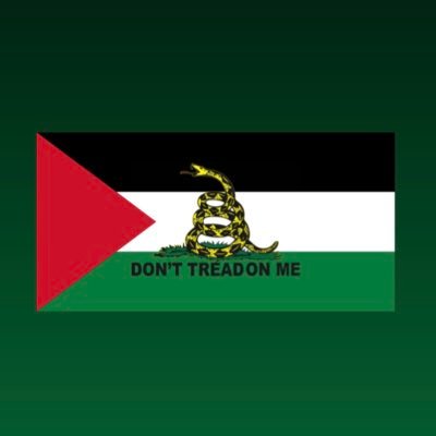palestinerevolt's profile picture. Don’t Tread On Me 🐍 🇺🇸 🇵🇸
