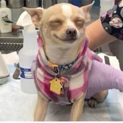 yeiwe99's profile picture. 