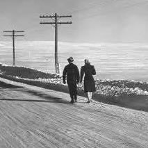 BookRiotSandra's profile picture. ✨|Adult|✨|Books|✨|Reading goal: 200| ✨|Read: 204|✨|Studio Ghibli|✨|Musicals|✨|Video Games|✨#booktwt #stardewvalley #Okami #SpiritTea