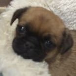 914x915's profile picture. 허허(웃는거 아니고 허허벌판이라는 뜻)