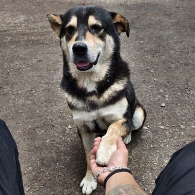 USD1__'s profile picture. 