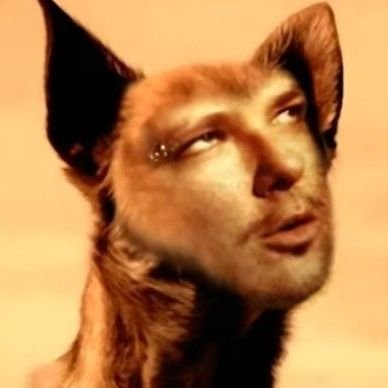 saikinthere's profile picture. fuck you, i won't do what you tell me