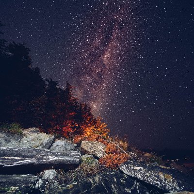 WWEHussam's profile picture. 