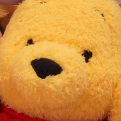 kiguma_kyawa's profile picture. '𝟡𝟡 ｜𝕡𝕠𝕠𝕙 🍯🐻｜𝕋𝕚𝕒𝕟𝕒 🐸💚｜𝔻𝕖𝕤𝕔𝕖𝕟𝕕𝕒𝕟𝕥𝕤 💜💙 ｜ 𝕥𝕨𝕤𝕥 🐬｜遠方組｜仮装 ｜バウンド｜コス@kiguma_cos next→11/18🏰|みどりではなくすいです かわいいかわいいくまさんに心奪われてます