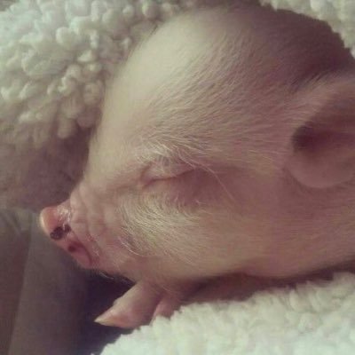 terjhen's profile picture. ดีไม่พอ ไม่ขออภัย