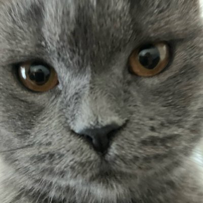 razzvan01's profile picture. 