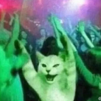 thirty1winter's profile picture. 🍀I rt-ed everything, Left-handed, 30, Archive of life🍀