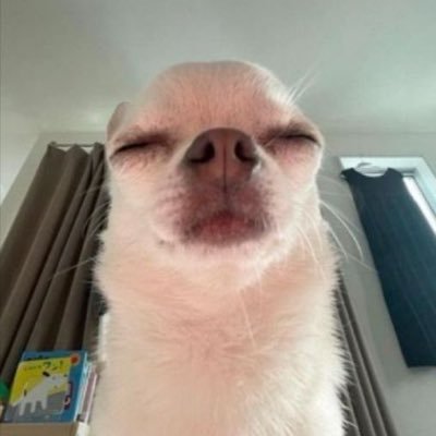 reerii913's profile picture. send me a heart