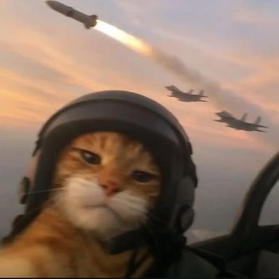 mahdi8O1's profile picture. سعی میکنم یک کد کش خوب بشم
{ویندوز ام نصب میکنم}