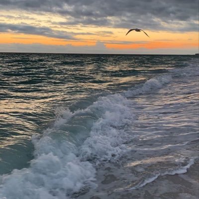 Ty_19i's profile picture. ثق بنفسك فكلام الناس لا ينتهي 💜