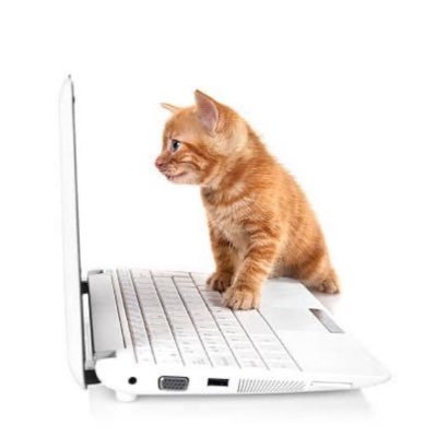 robingreyson_'s profile picture. ✴️ designer + animator