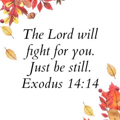 ashaxcrae's profile picture. Wife, mother, Mea to my six amazing grandsons, 1 precious granddaughter. semi-retired special ed teacher and most importantly love the Lord.
