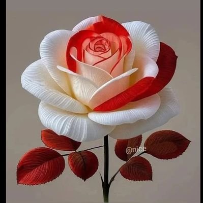 jfgallh_bd1392's profile picture. 