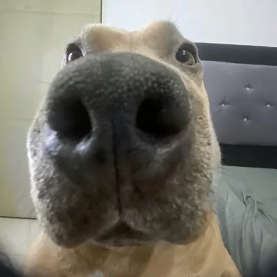 Jersson_127's profile picture. 