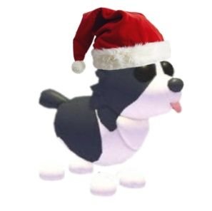 jashmaxxing's profile picture. ohmy godddd i think im dyinggg

⭒ ꩜ ⭒

#jashtwt ⊹ #paleotwt
#1 mayday fan,,
it / he + more
@weinorbomb69 priv
14
@0pt1c_nerv3 friend🪲