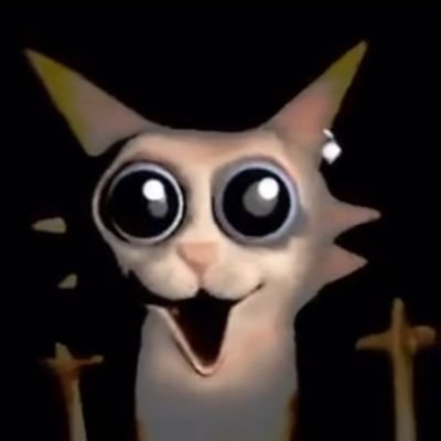 bark_1234's profile picture. 