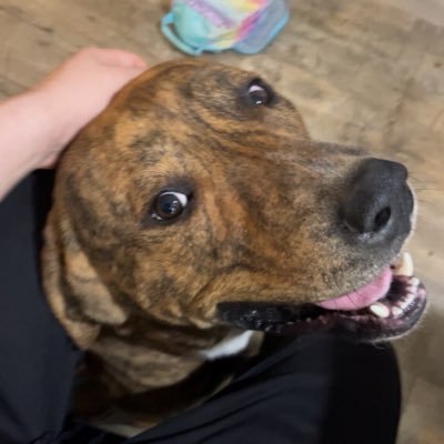 is_IyoSky's profile picture. 