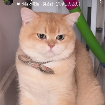 citra_klan61863's profile picture. 