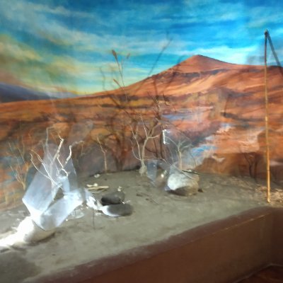 JR_DGO's profile picture. Omnisciente, humanista con amor por la literatura, la filosofia, la psicologia, la música y el deporte.