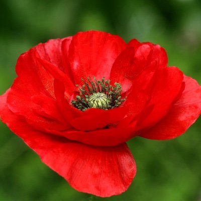 RobSmyt04452664's profile picture. I love God, my family, friends and enemies, reading and Israel. I listen to Christian, Prog, Rock and Classical music. 

The Bible is the only source of truth.