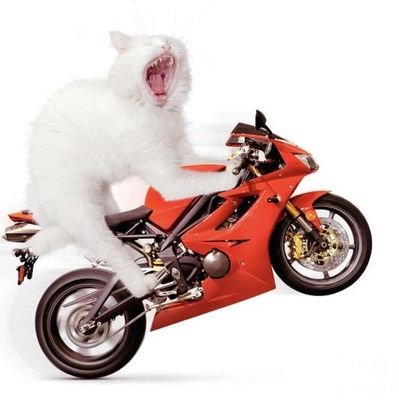 justan0engineer's profile picture. 