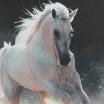 Wise203040's profile picture. أمي راحتي تحت أقدامك