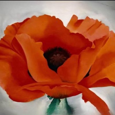 shewch5's profile picture. No DMs. Wife. Mom. Gramma. Love travel.