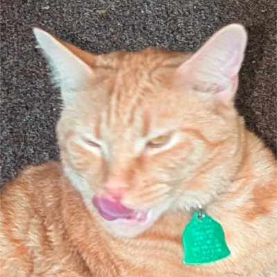 Limepelt's profile picture. Shiny Hunter(?) Life4 Pearl 1 (DDR Rival code: 6157-8845) 25 y.o. She/Her by the way!!!!🏳️‍⚧️

idk what else to put here rn hi