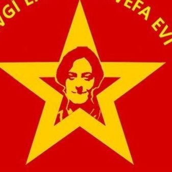 f71775456's profile picture. sevgi Erdoğan , ölüm orucunun 264. günün de armutlu da şehit düştü