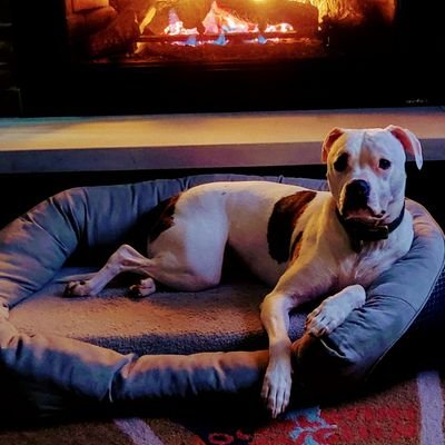 Hackatron1121's profile picture. 