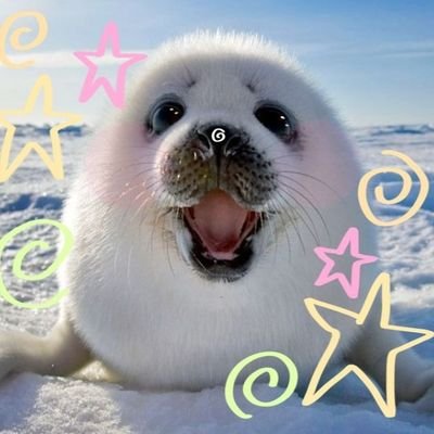 Lunapey168476's profile picture. 22||She/her||Lesbian Butch🏳️‍🌈||Austrain🇦🇹/Czech🇨🇿||Feminist||(Multifandoms)||Language lover♡||
Call me good girl and I'll be your servant, queen.