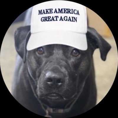 knowleswayjose's profile picture. IDAHO MAGA