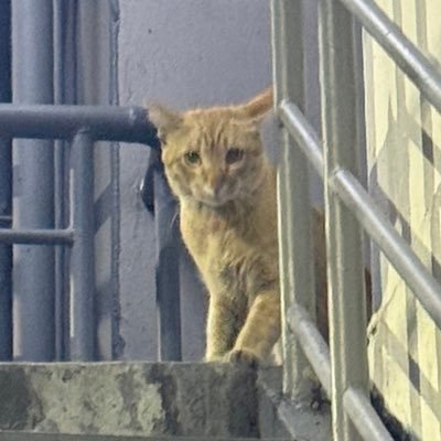 meowwbinny's profile picture. ตายโล้ดใครสน