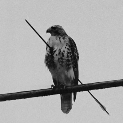 Iamteewofficial's profile picture. 