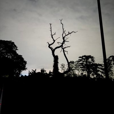 r4ae82a's profile picture. 