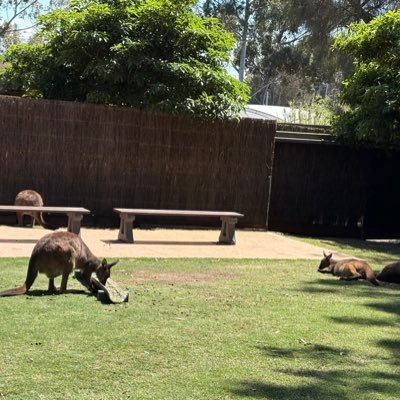 mabelgasca's profile picture. Maestría de Artes en Periodismo y Medios de Comunicación, Griffth University, Australia. Creo en Jesús.