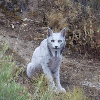 forlife_timi's profile picture. Web developer . Portfolio : https://t.co/wpfQshrxIP