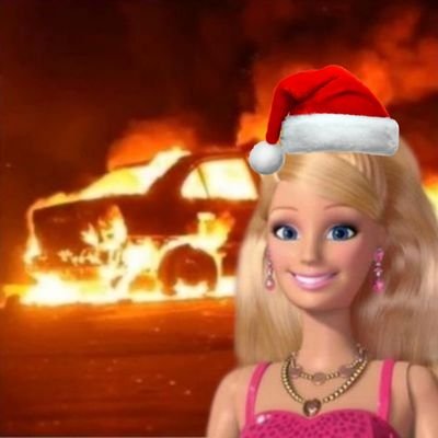 peri peri fries Profile