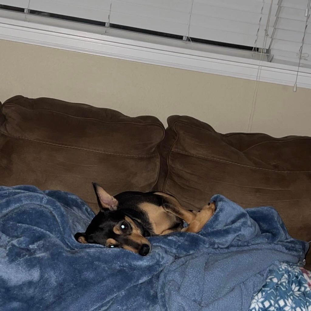 JohnDavidvvad's profile picture. 